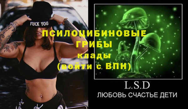 бошки Абаза