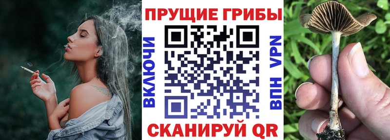 это телеграм цены наркотик Андреаполь Галлюциногенные грибы Magic Shrooms